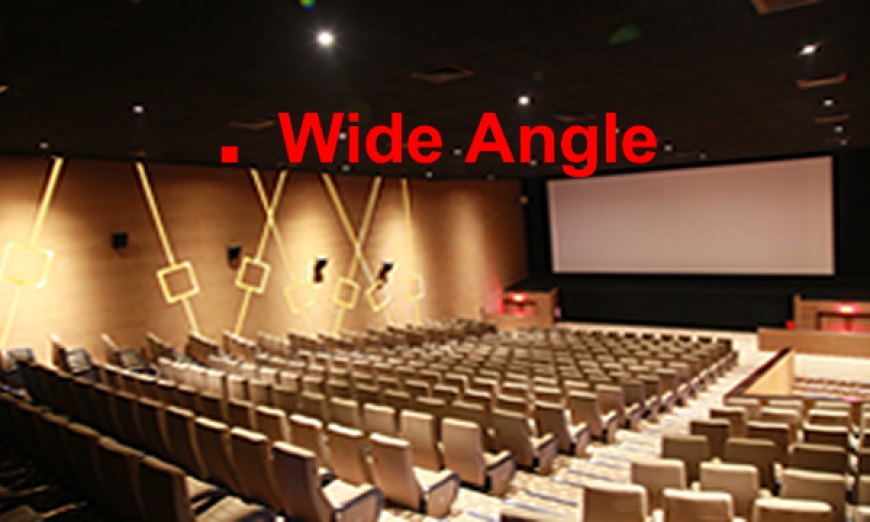 Wide Angle: Public Cause