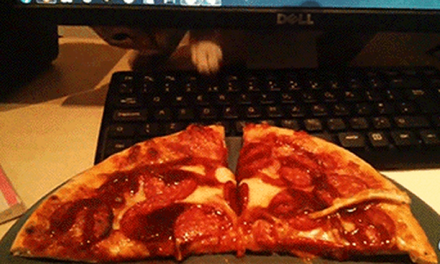 Cats &amp; Banks